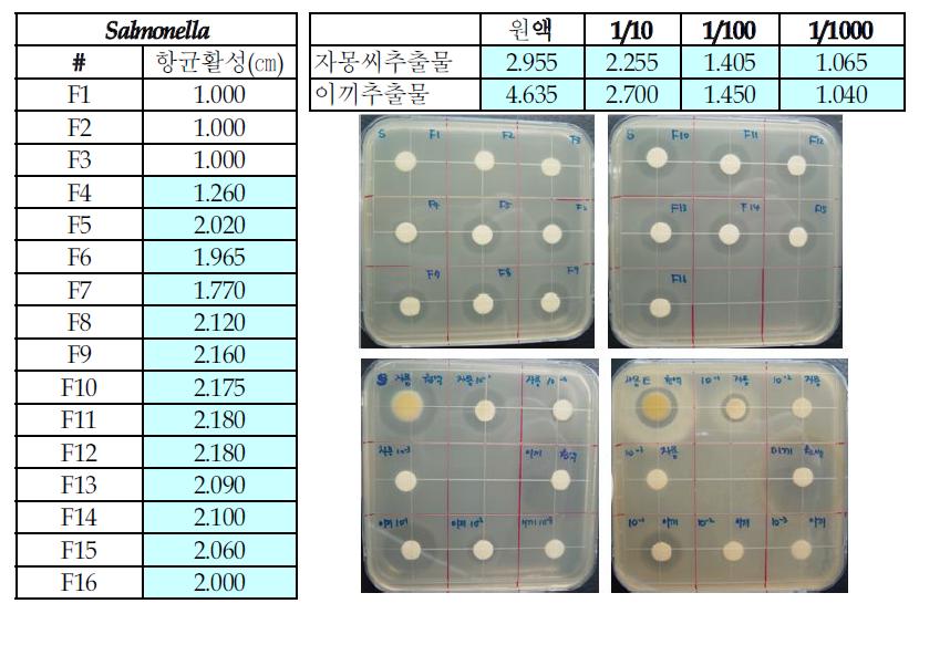 항균활성 비교 결과