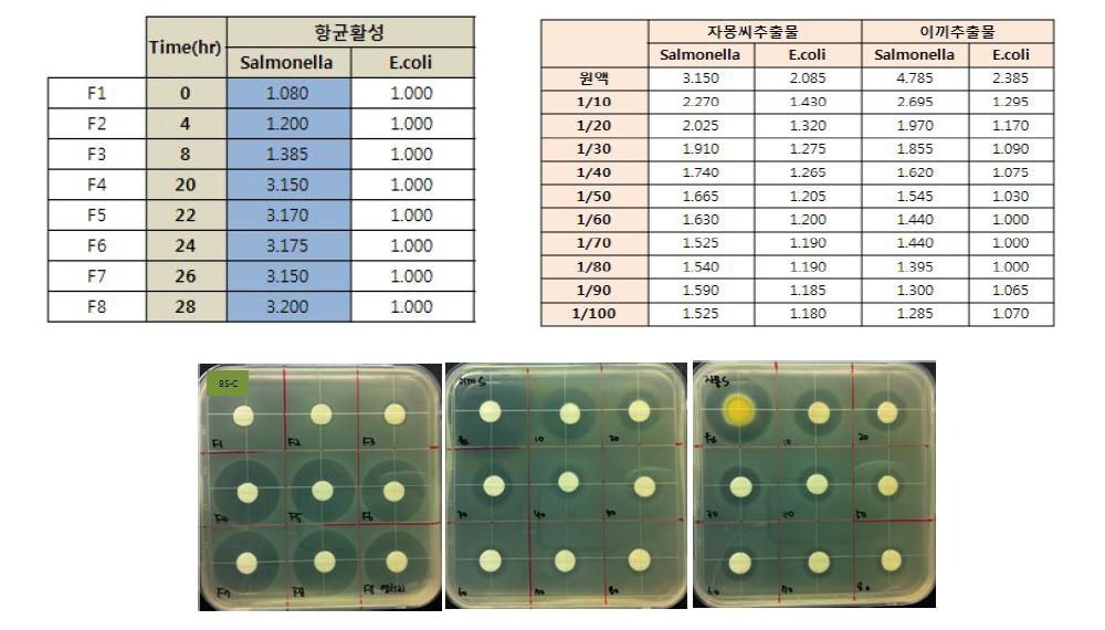 항균활성 결과