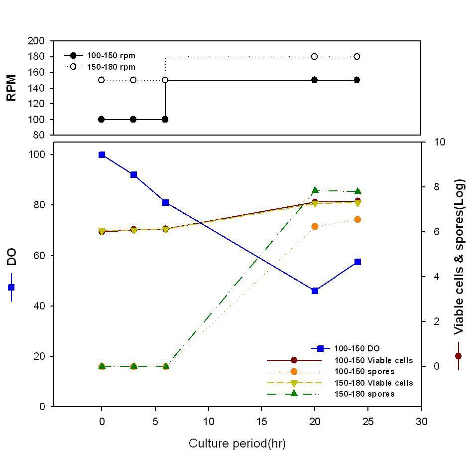 회분식배양;교반속도 100→150rpm,150→180rpm비교