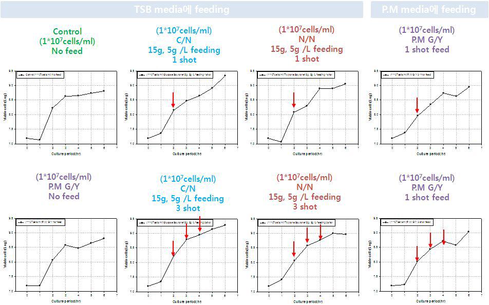 유가식배양공정에서 세포 성장곡선 비교
