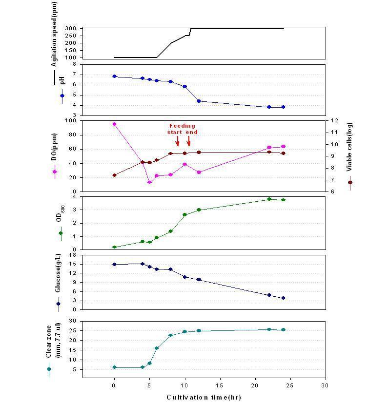 C/N배지 연속유가식배양공정에서의 time profiles