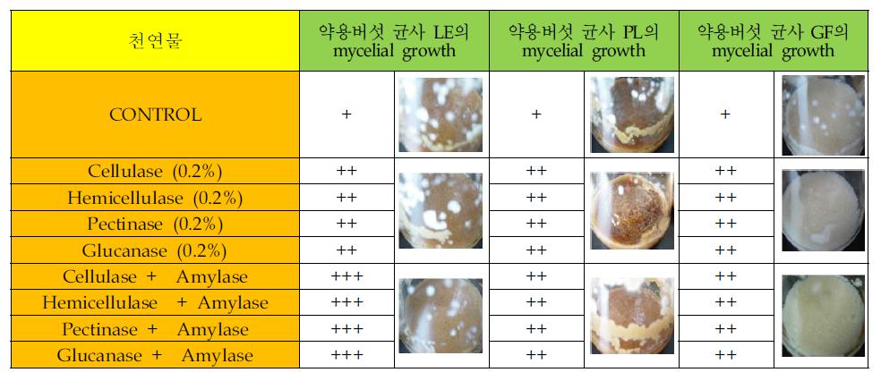 천연물자원의 배양배지화를 위한 효소처리공정 비교