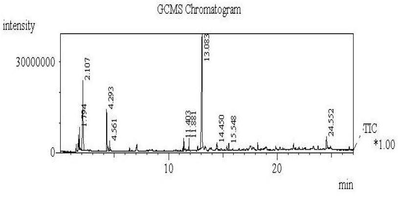 흑마늘 추출물 ethyl acetate 분획의 GC/MS 크로마토그램.