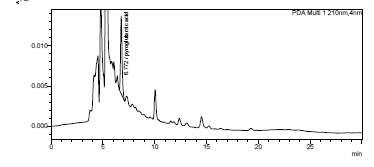 분석방법 변경 전 흑마늘 추출물에서의 pyroglutamic acid HPLC 분석 크로마토그램