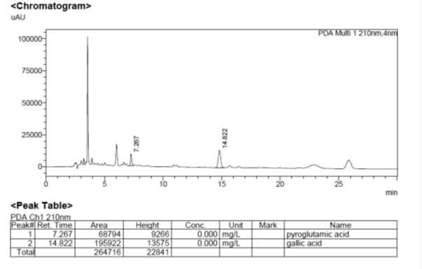 변경 후 흑마늘녹차추출혼합물의 HPLC 분석 크로마토그램(R.T 7.26 분: pyroglutamic acid, R.T 14.82분: gallic acid)