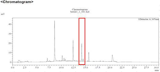 칠엽수엽 시료의 HPLC 크로마토그램