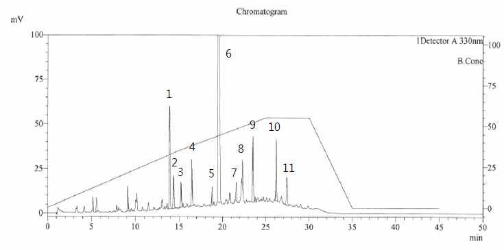 Peak 분리 전 칠엽수엽 추출물 HPLC 크로마토그램