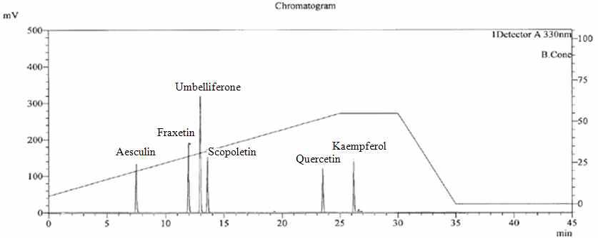 예상 후보물질들의 standards HPLC 크로마토그램