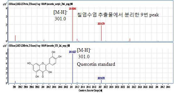 Agilent 6500 Series Q-TOF LC/MS 로 분석한 quercetin의 질량분석스펙트럼