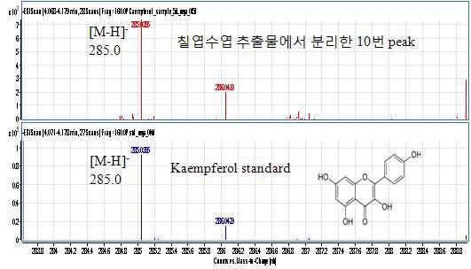 Agilent 6500 Series Q-TOF LC/MS 로 분석한 kaempferol의 질량분석스펙트럼