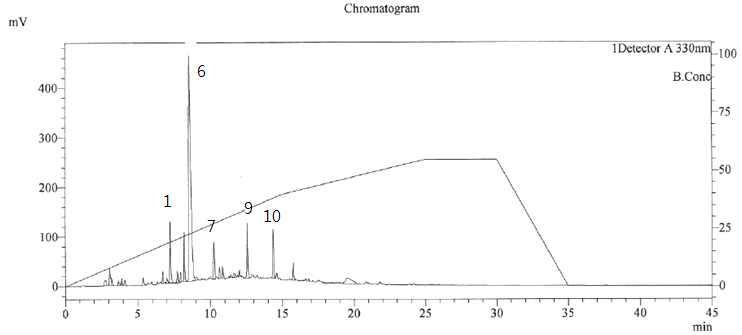 칠엽수엽 추출물 HPLC 크로마토그램