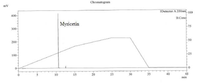 Myricetin standard HPLC 크로마토그램