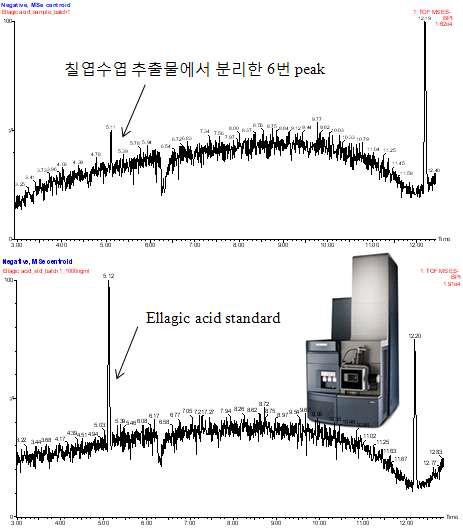 Waters Xevo G2 Q-TOF 로 분석한 ellagic acid의 HPLC 크로마토그램