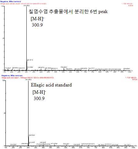 Waters Xevo G2 Q-TOF 로 분석한 ellagic acid의 질량분석스펙트럼