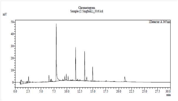 칠엽수엽 추출물의 HPLC 크로마토그램