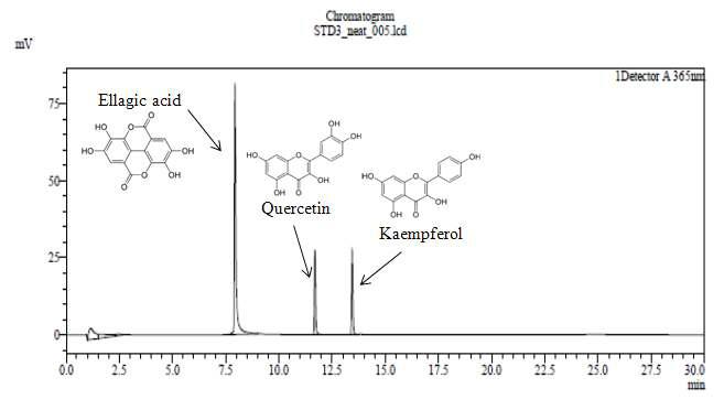 Ellagic acid, Quercetin, Kaempferol standard HPLC 크로마토그램