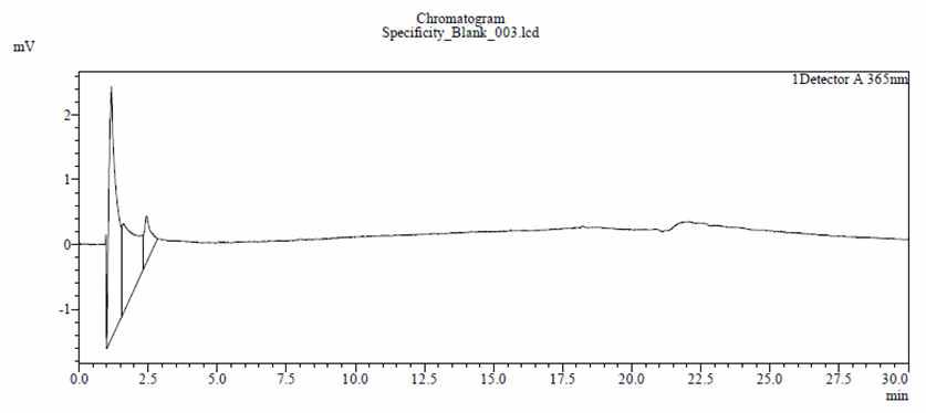 Blank의 HPLC 크로마토그램