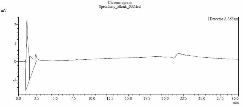Blank의 HPLC 크로마토그램