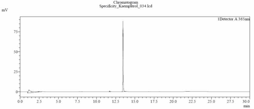 Kaempferol 표준용액(5μg/mL)의 HPLC 크로마토그램