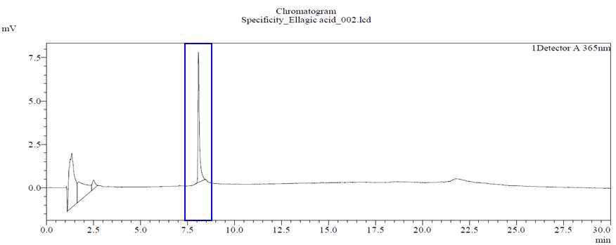 Ellagic acid 표준용액의 HPLC 크로마토그램