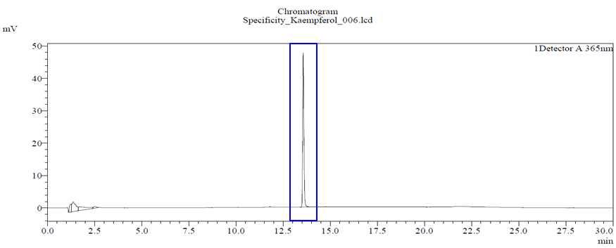 Kaempferol 표준용액의 HPLC 크로마토그램