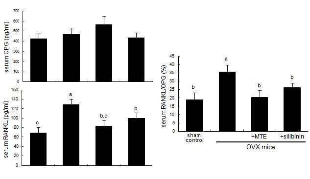 Suppressive effects of milk thistle extract (MTE) and silibinin on serum RANKL/OPG ratio in ovariectomized (OVX) mice.