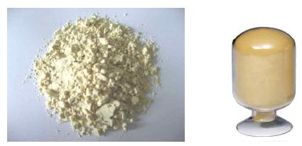 Proto type of high purity-silymarin powder