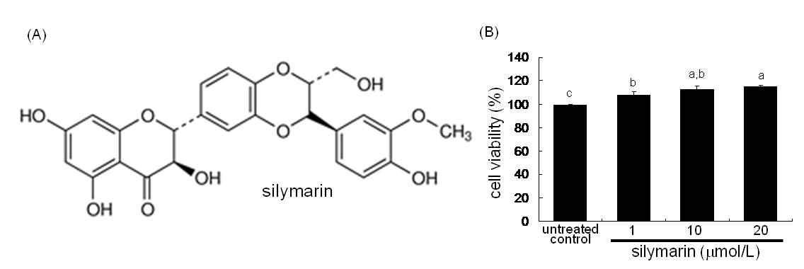 Chemical structure (A) and cytotoxicity (B) of silymarin. and alkaline phosphatase (ALP) secretion (C and D).