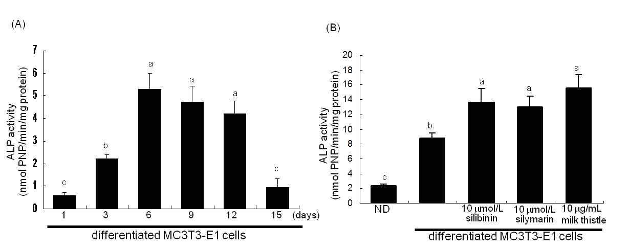 Time course-responses of ALP secretion for 15 days (A) and its enhancement by silibinin,