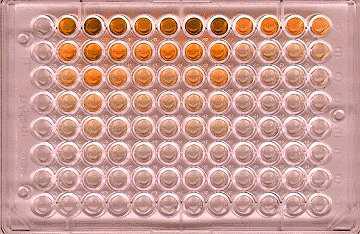 Determination of silymarin measured by DNPH colorimetric method