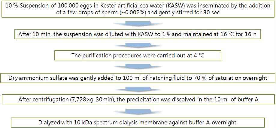 Extraction method of hatching enzyme from starfish Astarina pectinifera egg