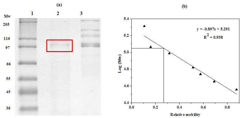 Characterization of hatching enzyme from starfish Astarina pectinifera eggs.