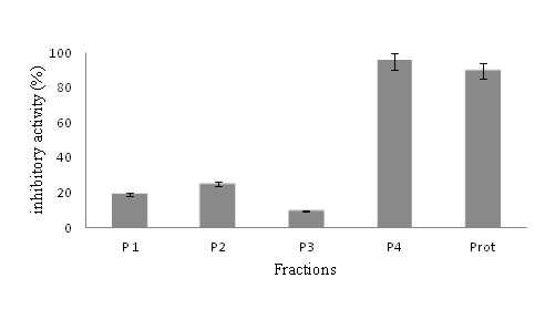 KLK5 inhibitory activity of protamine hydrolysate from HPLC fraction.