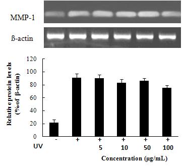 MMP-1 mRNA expression rate of n-BuOH from Kaki Calyx extracts on fibroblast cell (CCD-986sk).