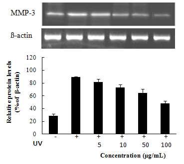 MMP-3 mRNA expression rate of n-BuOH from Kaki Calyx extracts on fibroblast cell (CCD-986sk).