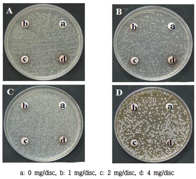 Antimicrobial activity of Kaki Calyx extracted with methanol on several microorganisms.