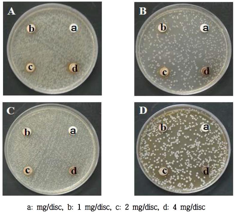 Antimicrobial activity of Kaki Calyx extracted with acetone on several microorganisms.