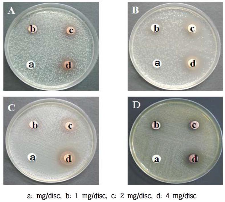 Antimicrobial activity of solvent fractions from Kaki Calyx EtOAc layer on several microorganisms.