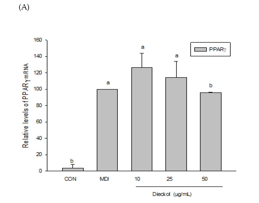 Fig 25 Dieckol 의 비만 관련 유전자 발현양상