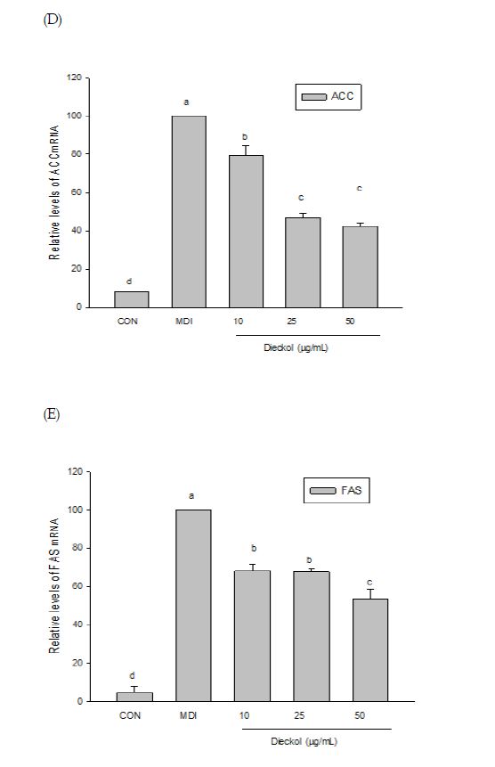 Fig 25 Dieckol 의 비만 관련 유전자 발현양상