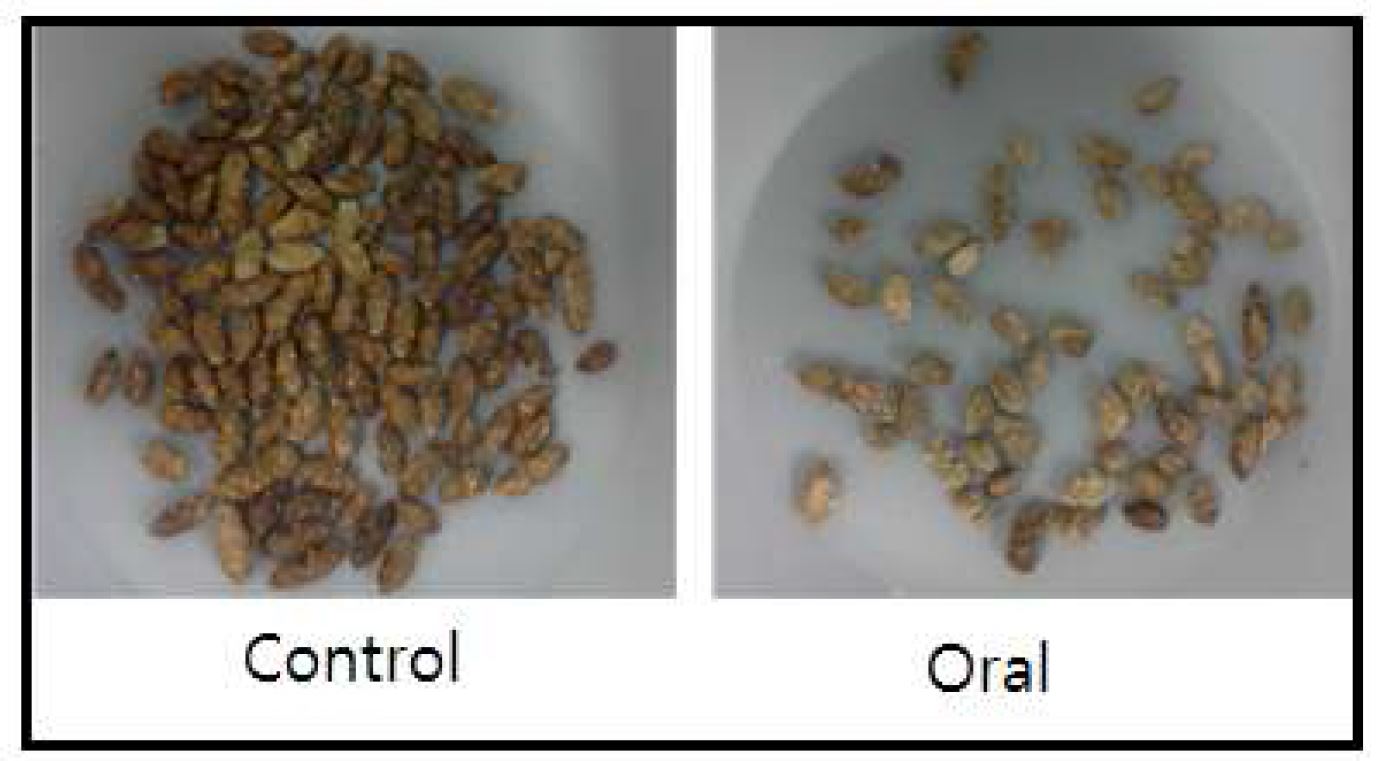 Fig. 32. Fecla pellet form of Control and Oral