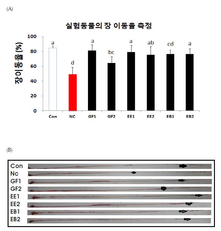 Fig. 40 Loperamide로 유발된 변비 Mice에 대황 추출물 및 분말 처리에 장이동율 측정