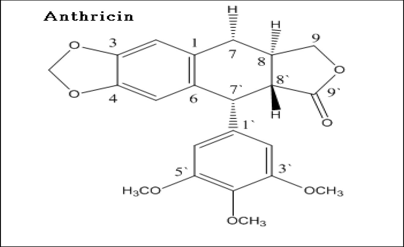 Fig. 50 Anthricin 구조