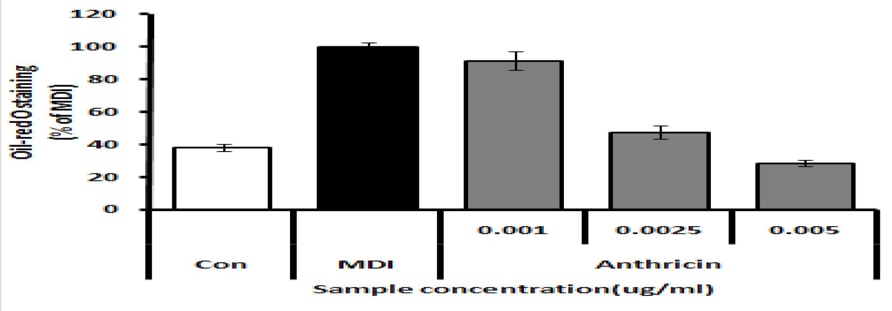 Fig. 52 Anthricin 항비만 효능