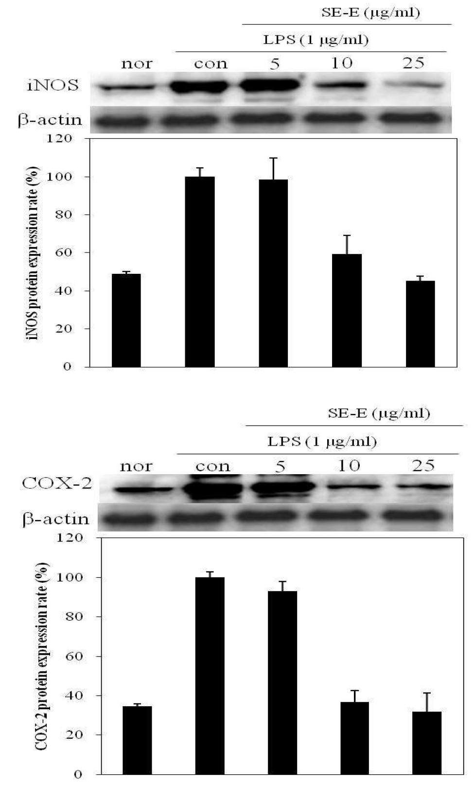Inhibition effects of extracts and fractions from S. polyrhiza on the expression of iNOS and COX-2 in LPS-activated Raw 264.7 cells.