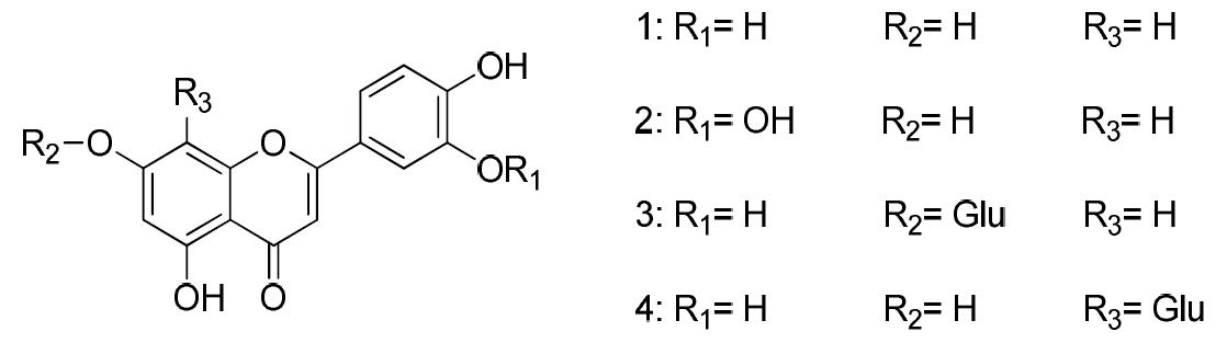 Structure of compounds isolated from S. polyrhiza.