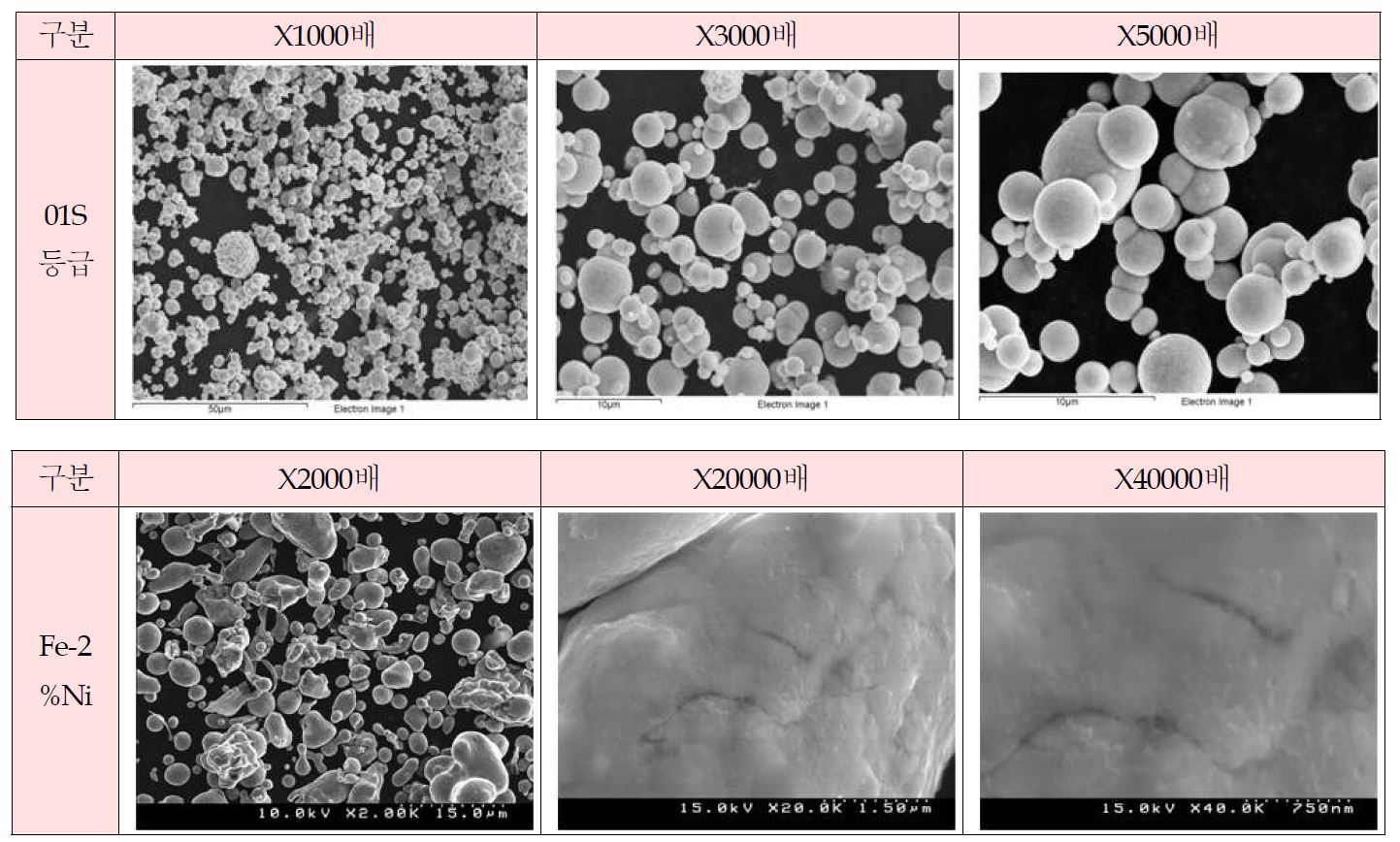 Fe-2%Ni 분말의 확대 사진