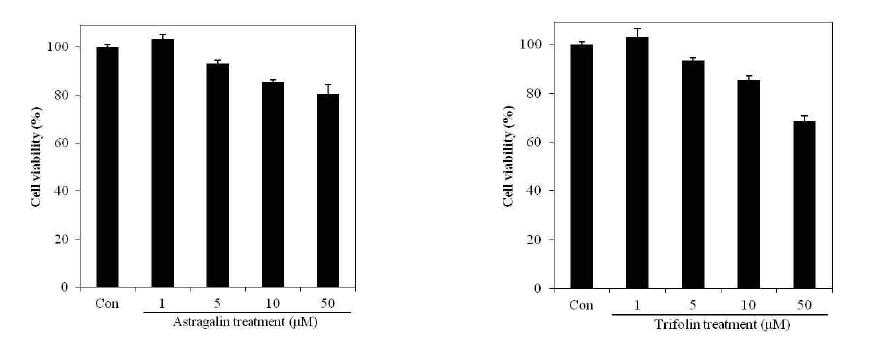 Cell viability of CCD986sk fibroblast cells after treatment with astragalin and trifolin and from Diospyros kaki calyx. Control cell were incubated with vehicle alone.