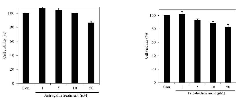 Cell viability of B16F10 melanoma cells after treatment with astragalin and trifolin from Diospyros kaki calyx. Control cell were incubated with vehicle alone.