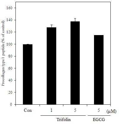 Procollagen synthesis of human dermalfibroblast treated with trifolin fromDiospyros kaki calyx. Control cell wereincubated with vehicle alone. Thedata represent the mean±SD of threeseparate experiments